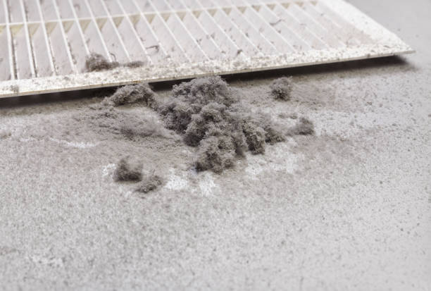 Best Duct Cleaning Specialists  in Earlington, KY