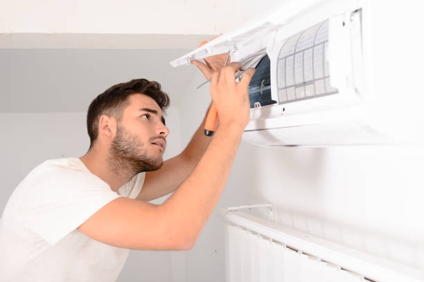 Best Air Duct Mold Removal  in Earlington, KY